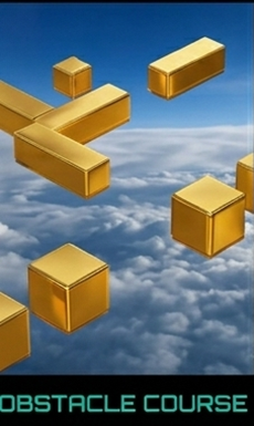 Obstacle Course